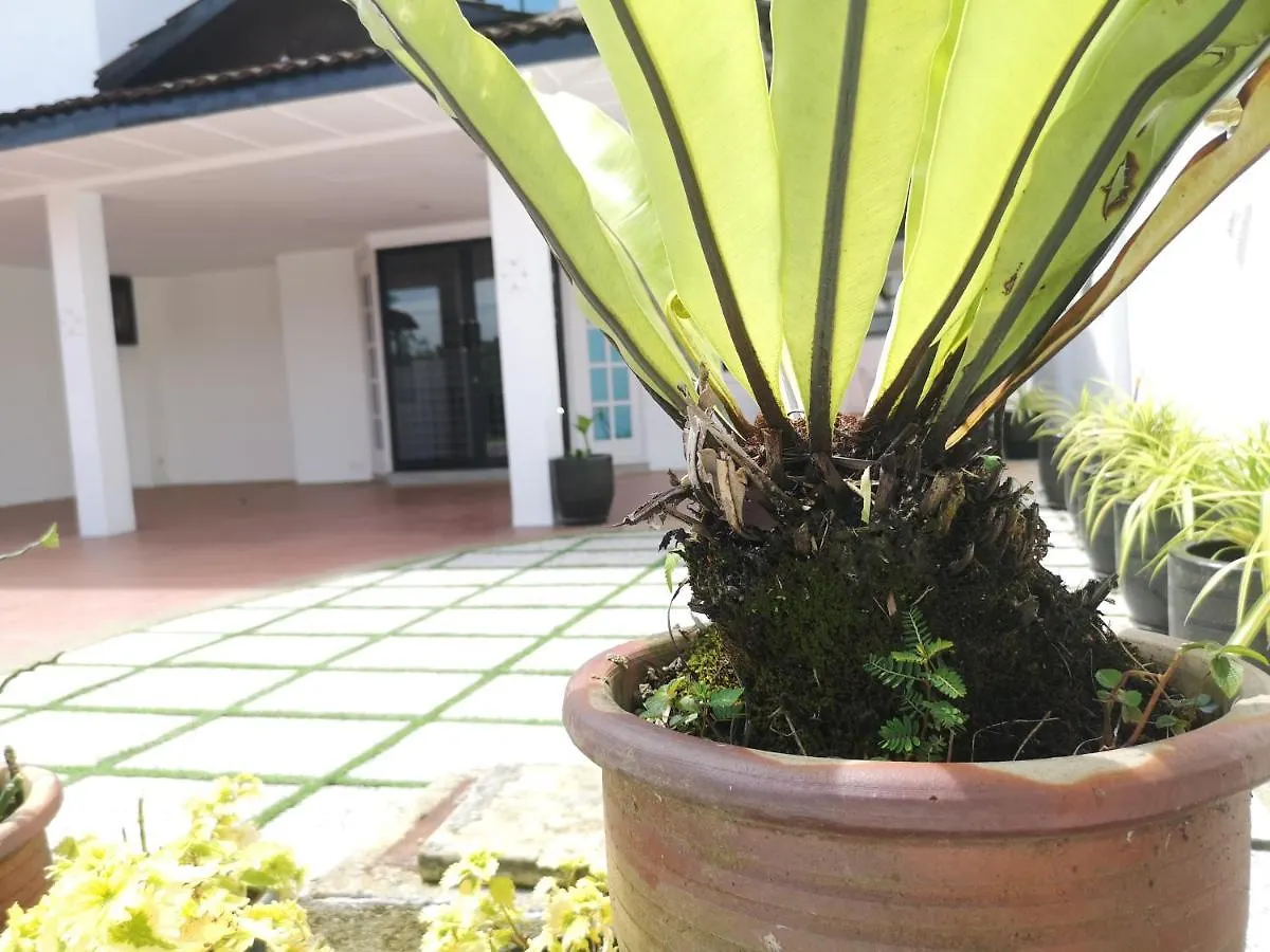 Jb City 5 Bedroom Semi-D Near Ksl,Mid Valley ,Berjaya Waterfront Johor Bahru